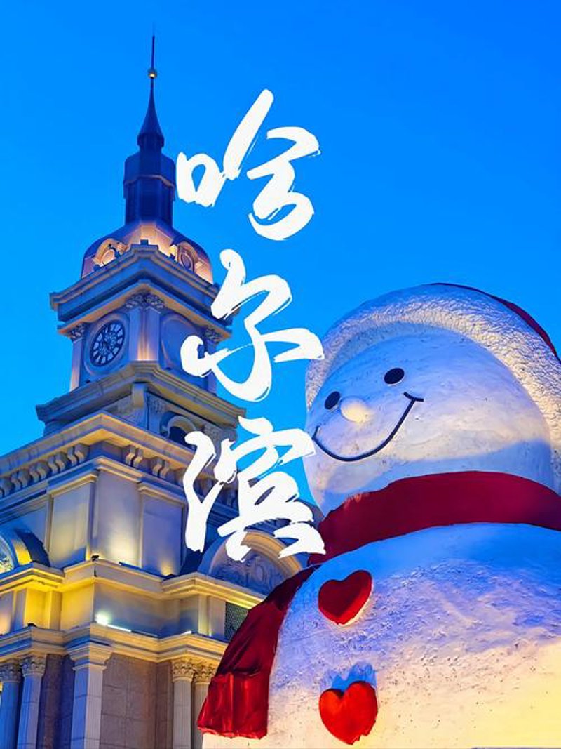 什么是软件外包公司？它们在项目中的角色是怎样的？